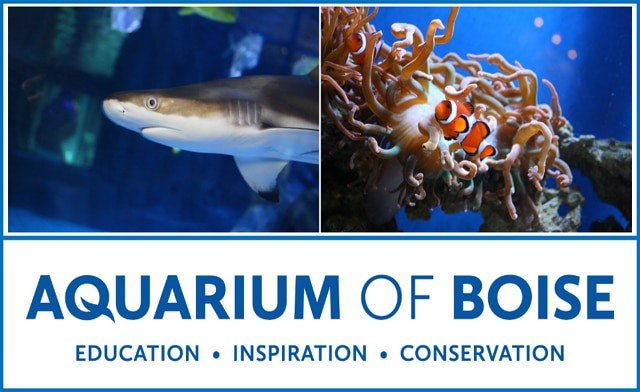 Aquarium of Boise