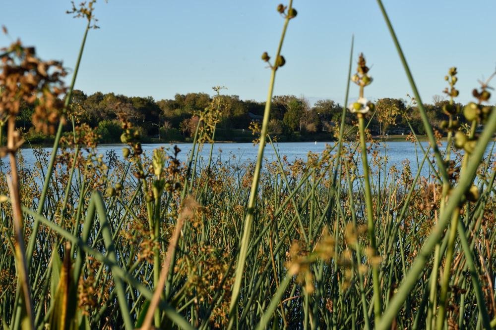 Bill Breeze Park