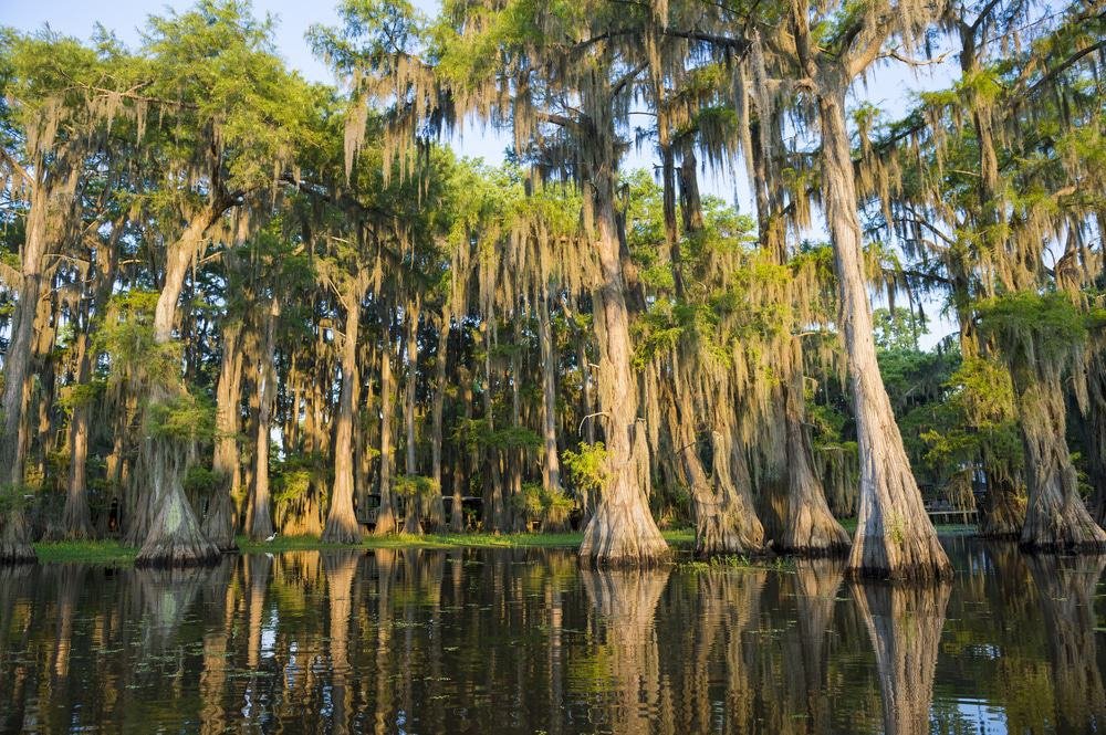 Caddo Lake