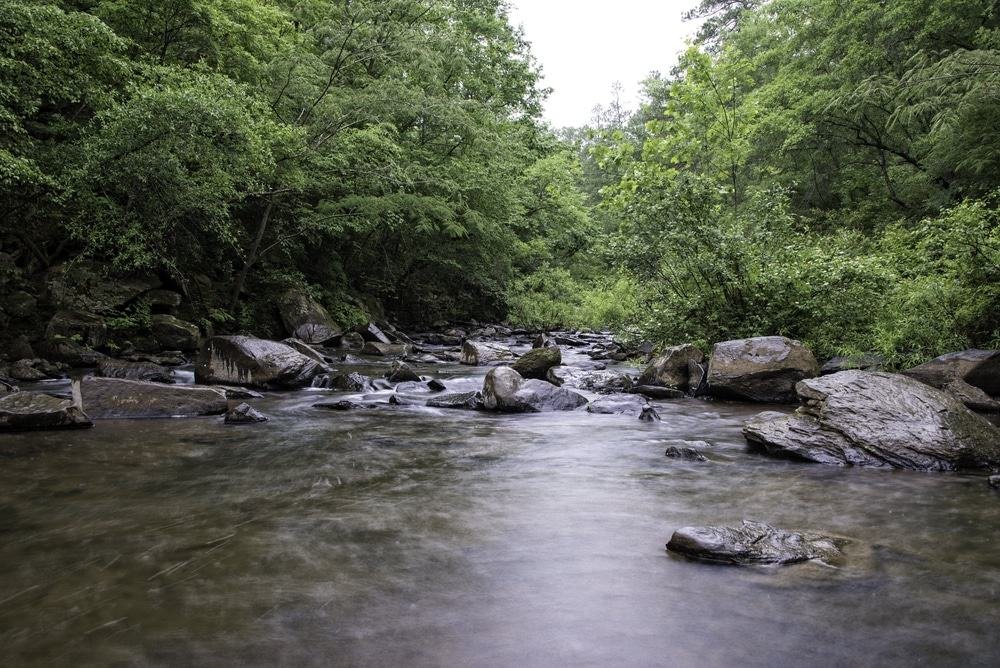 Cahaba River