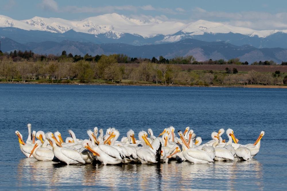 Cherry Creek State Park
