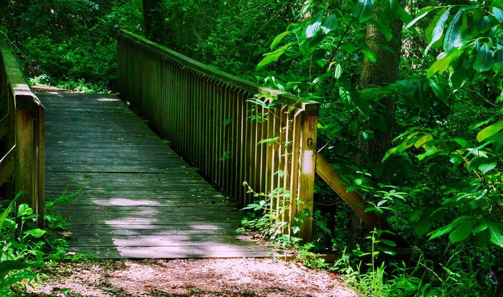 Chesapeake Arboretum