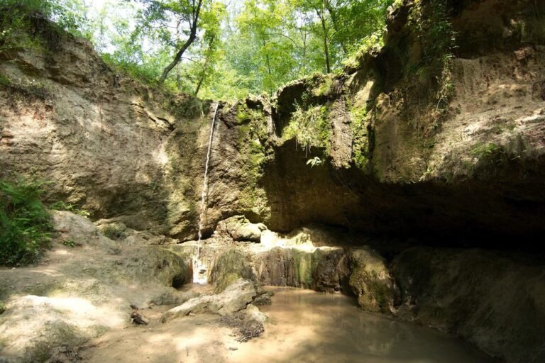 Clark Creek Natural Area, Louisiana