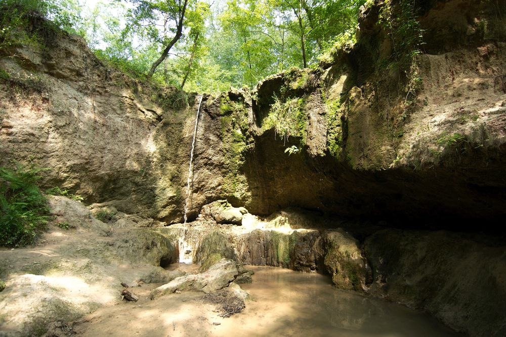 Clark Creek Natural Area, Louisiana