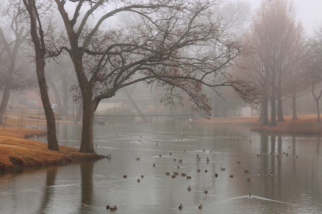 Cottonwood Park