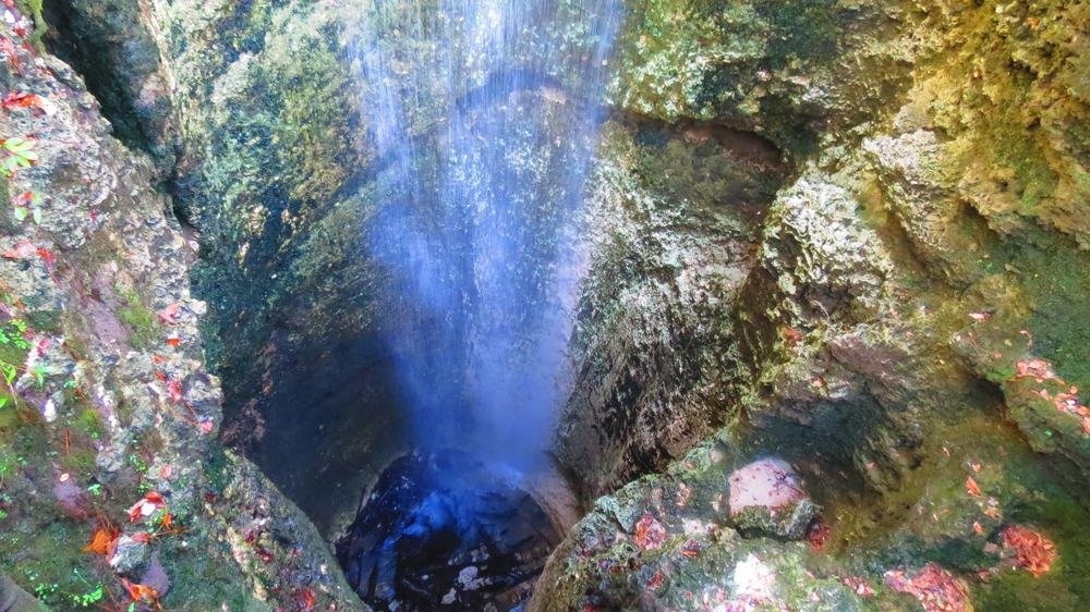 Falling Waters Sinkhole Trail