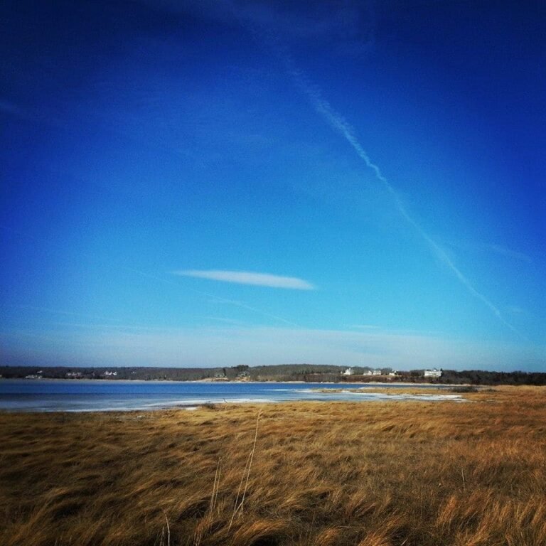 Goosewing Beach Preserve