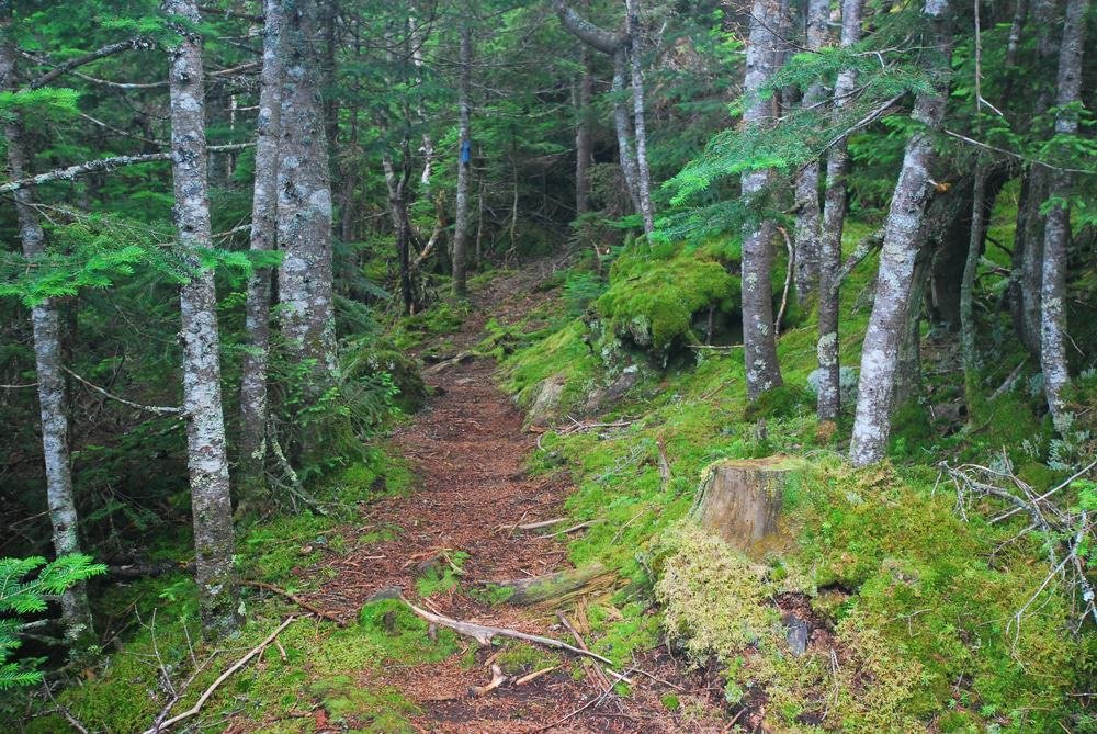 Grafton Notch State Park