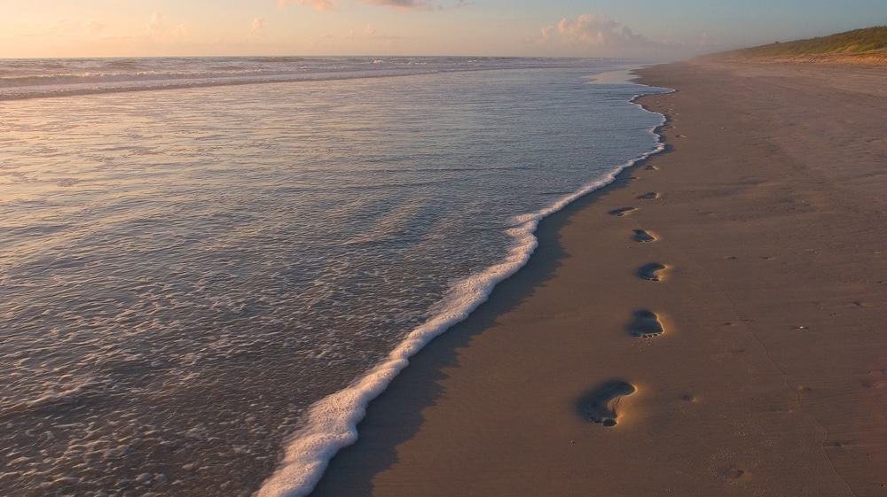 Canaveral National Seashore