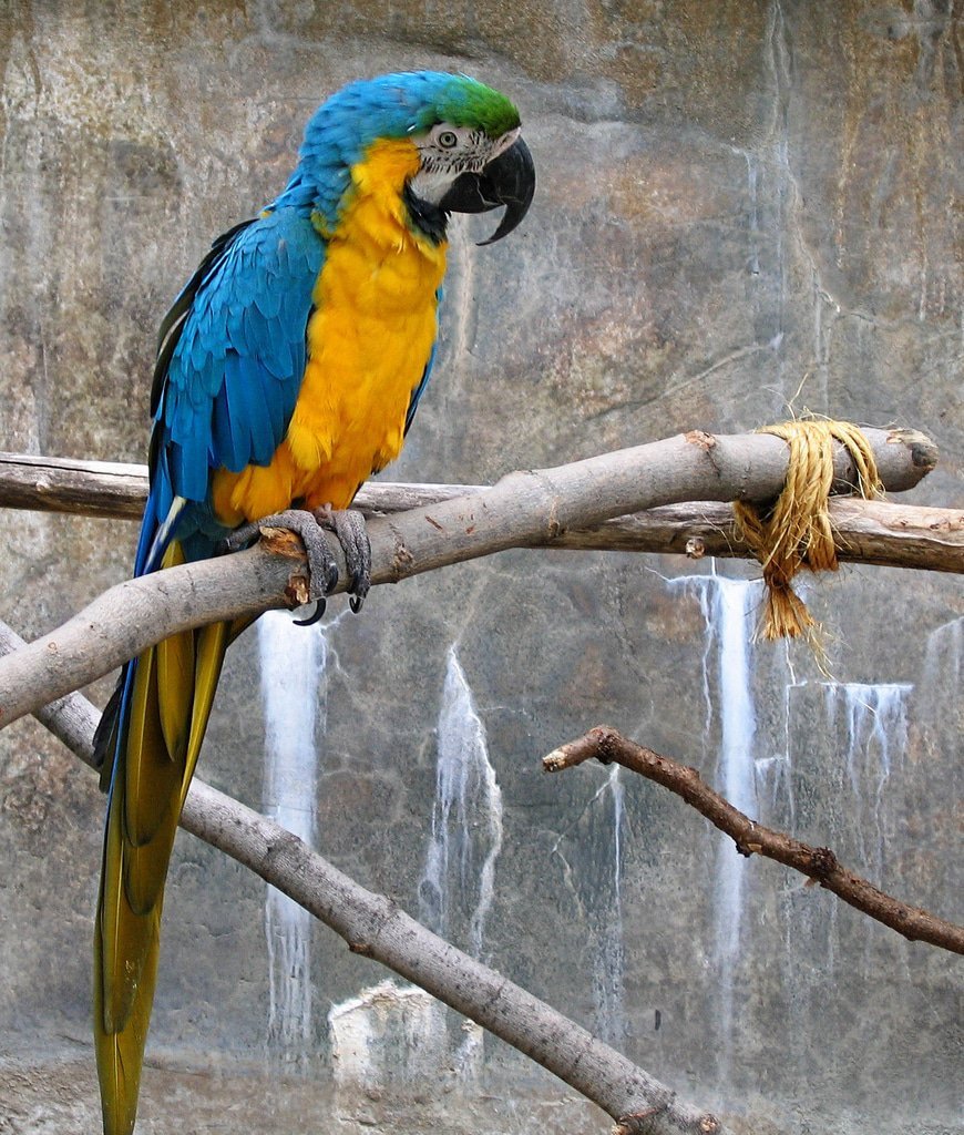 John Ball Zoo