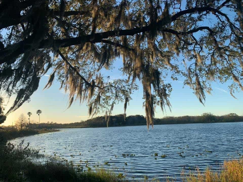 Lake David Park, Groveland