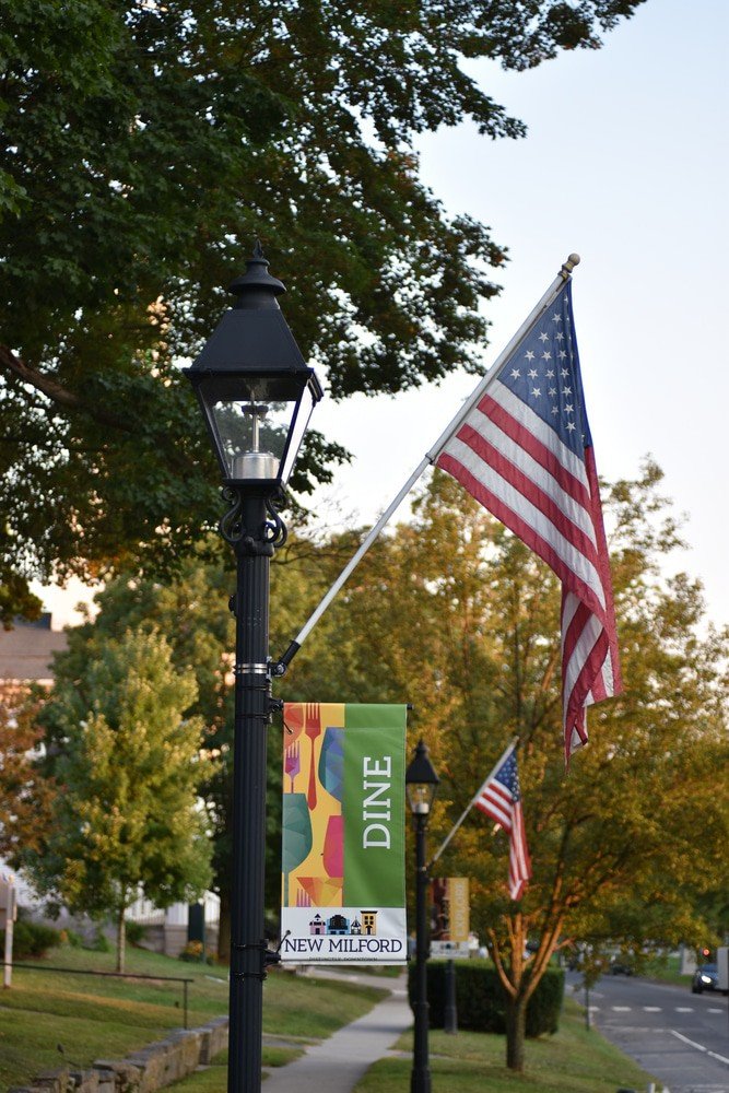 Village Fair Days