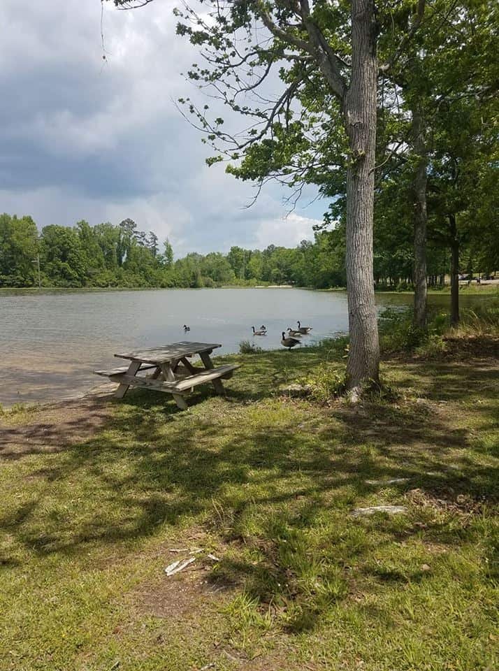 Pell City Lakeside Park