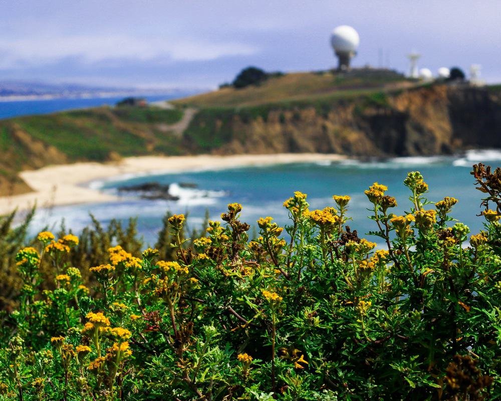 Ross Cove Beach, Northern California
