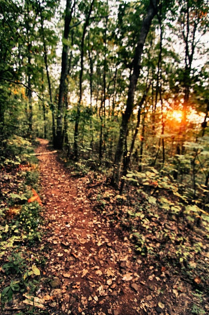 Ruffner Mountain