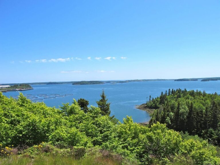 Shackford Head State Park