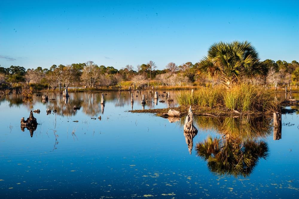 St. Andrews State Park