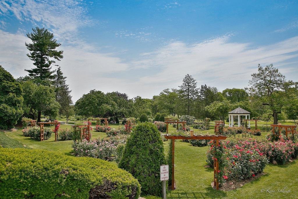The Rose Gardens, Allentown