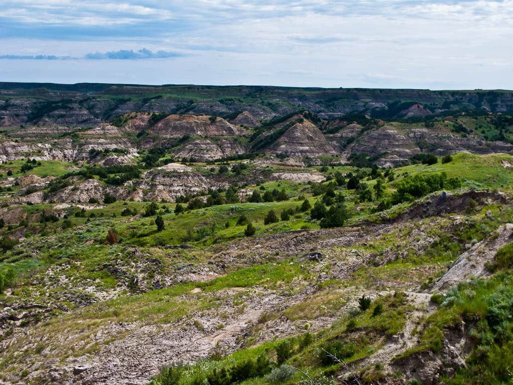 Theodore Roosevelt National Park