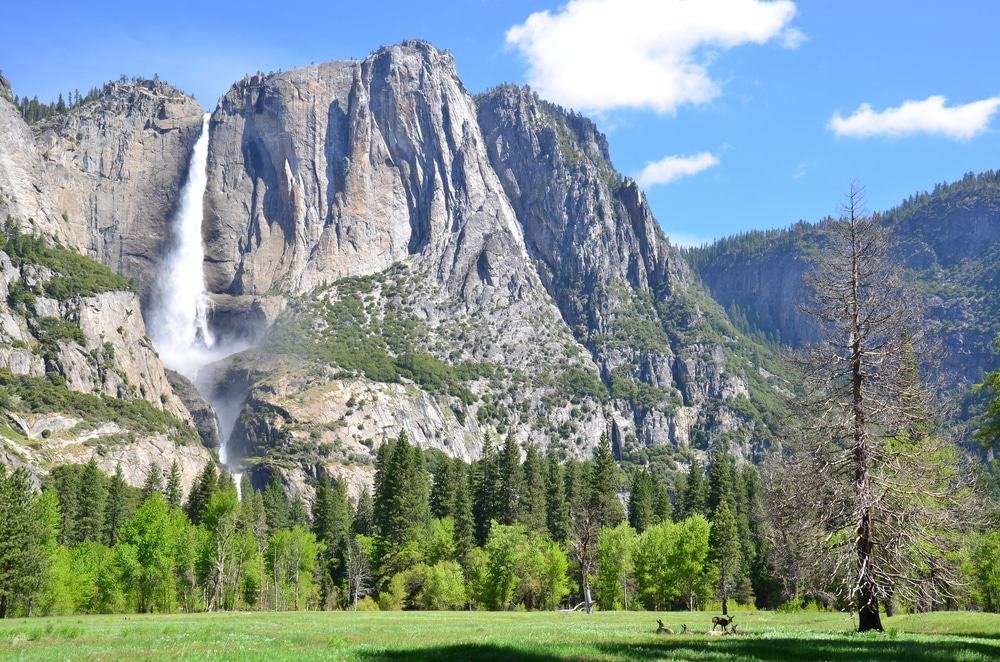 Yosemite Falls