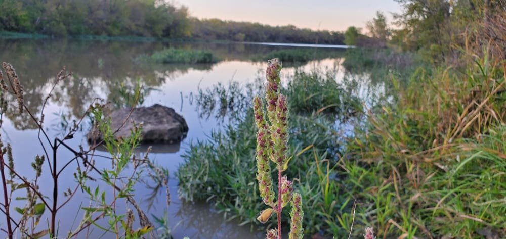 Santa Fe Lake near Andover, Kansas
