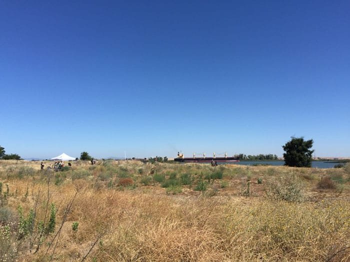 Antioch Dunes Wildlife Reserve