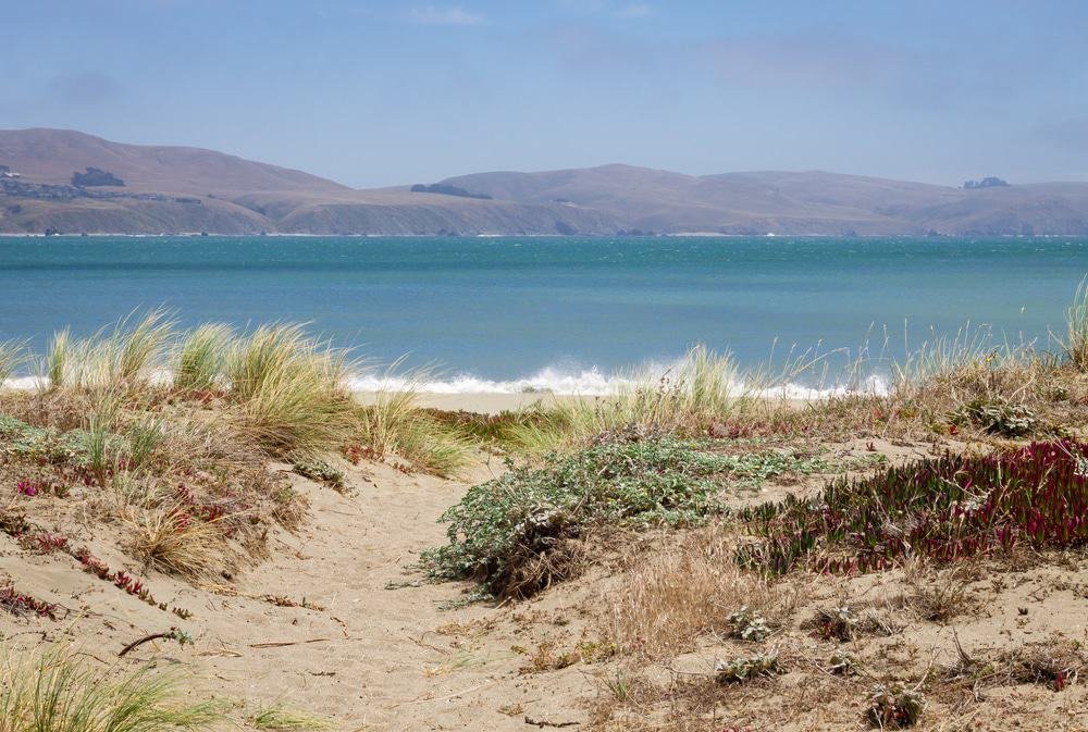 Bodega Dunes