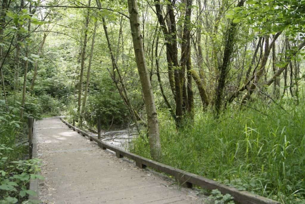Butler Creek Trail