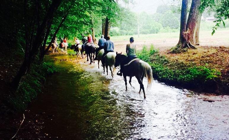 Cedar Creek Stables