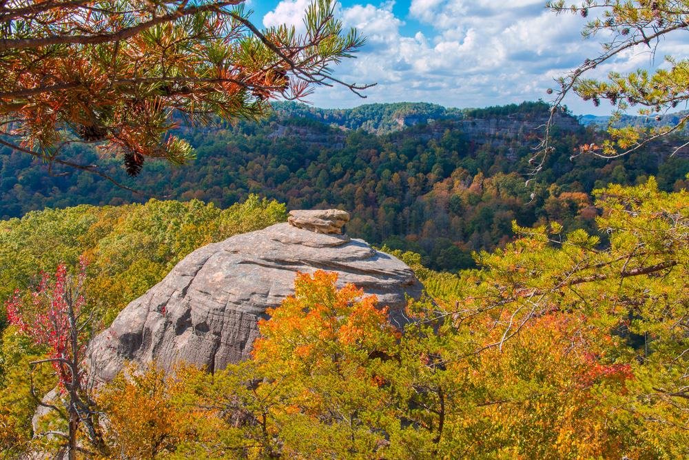 Daniel Boone National Forest
