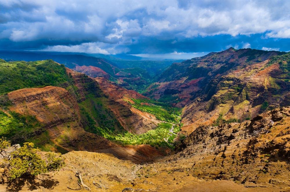 Waimea Canyon