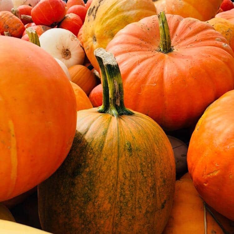 Bethel Farmers Market