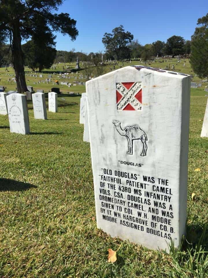 Grave Of Douglas The Confederate Camel