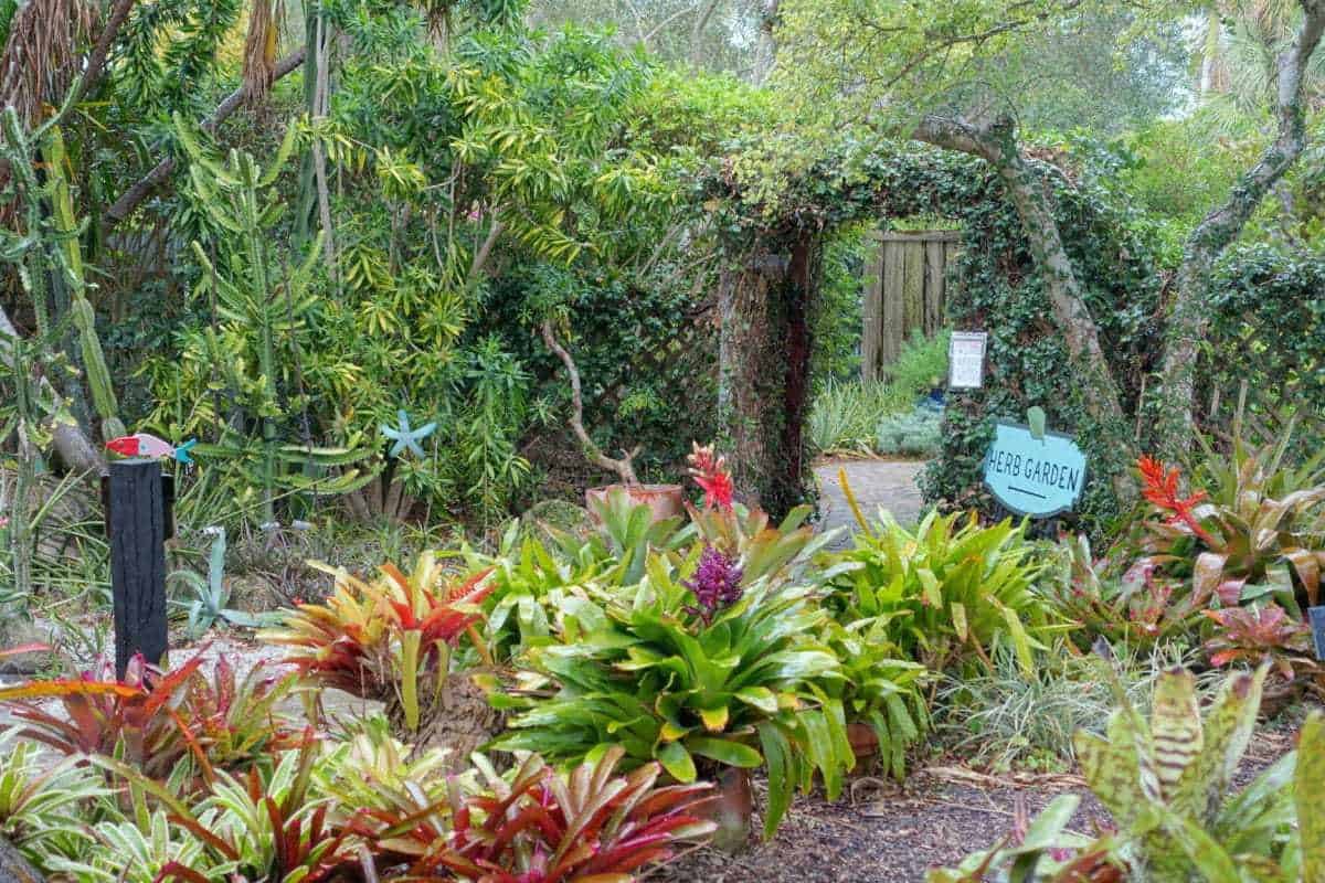 Heathcote Botanical Gardens