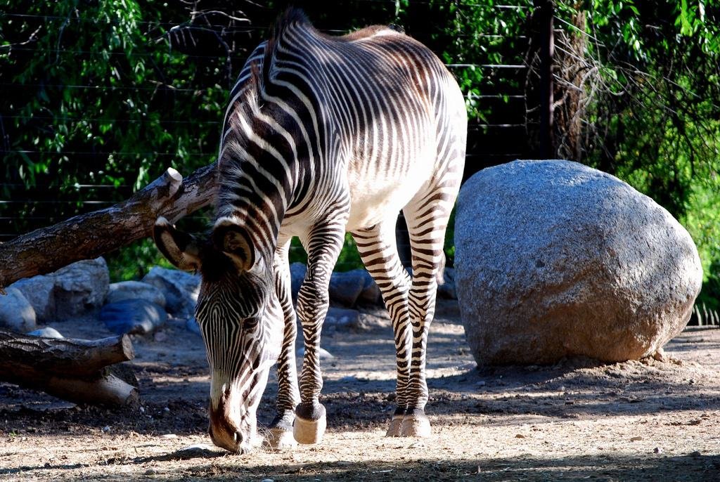 Hogle Zoo