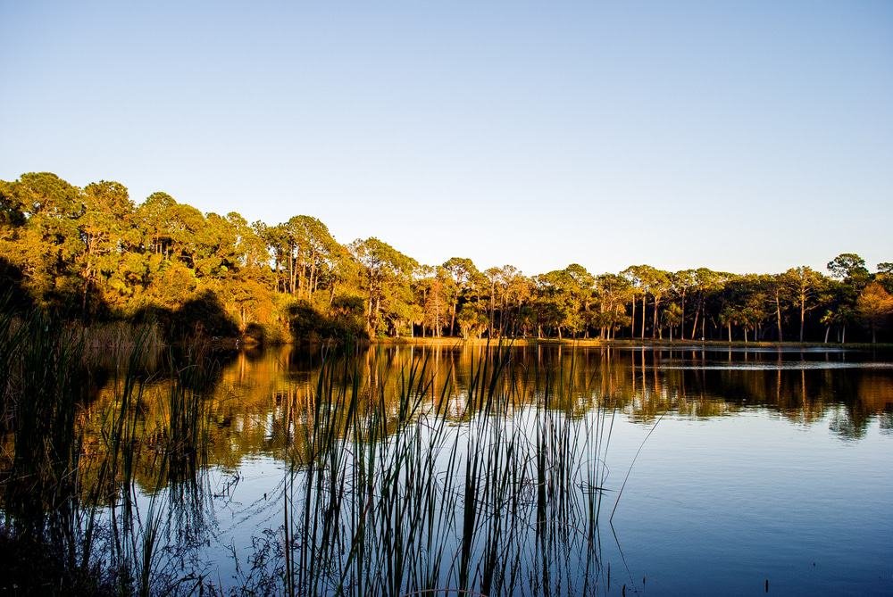 Lake Seminole