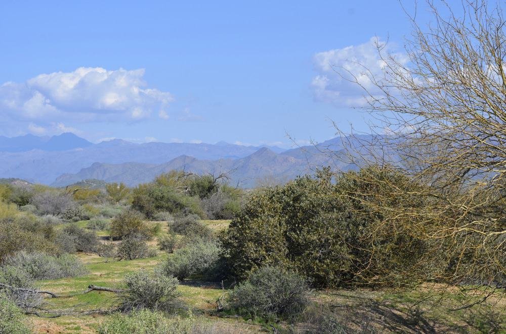 McDowell Mountain Regional Park