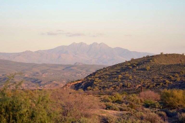 McDowell Mountain Regional Park