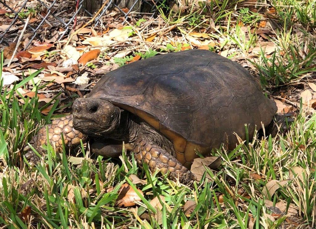 Okeeheelee Nature Center