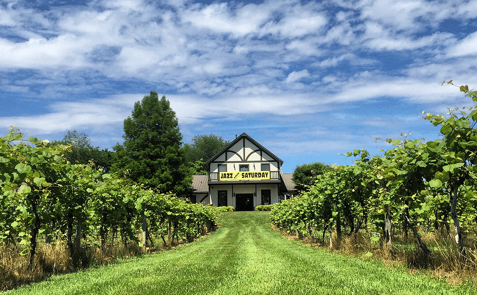 Beachaven Vineyards & Winery