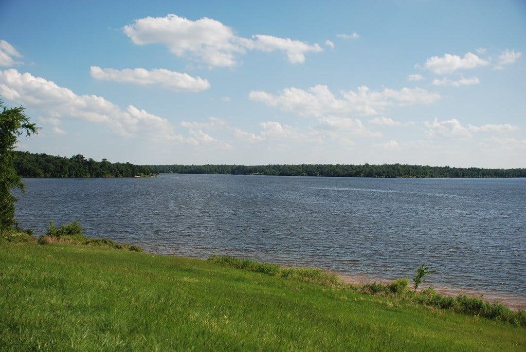 Pat Mayse State Park