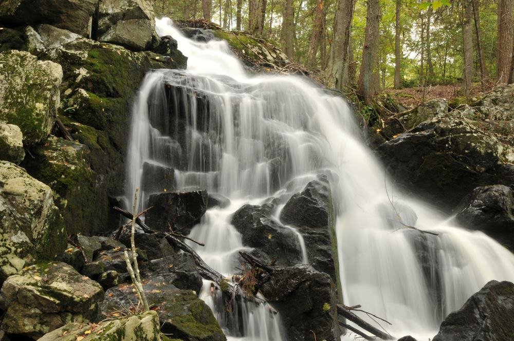 Paugussett State Forest
