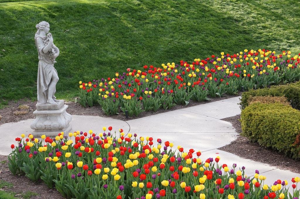 Phillips Park