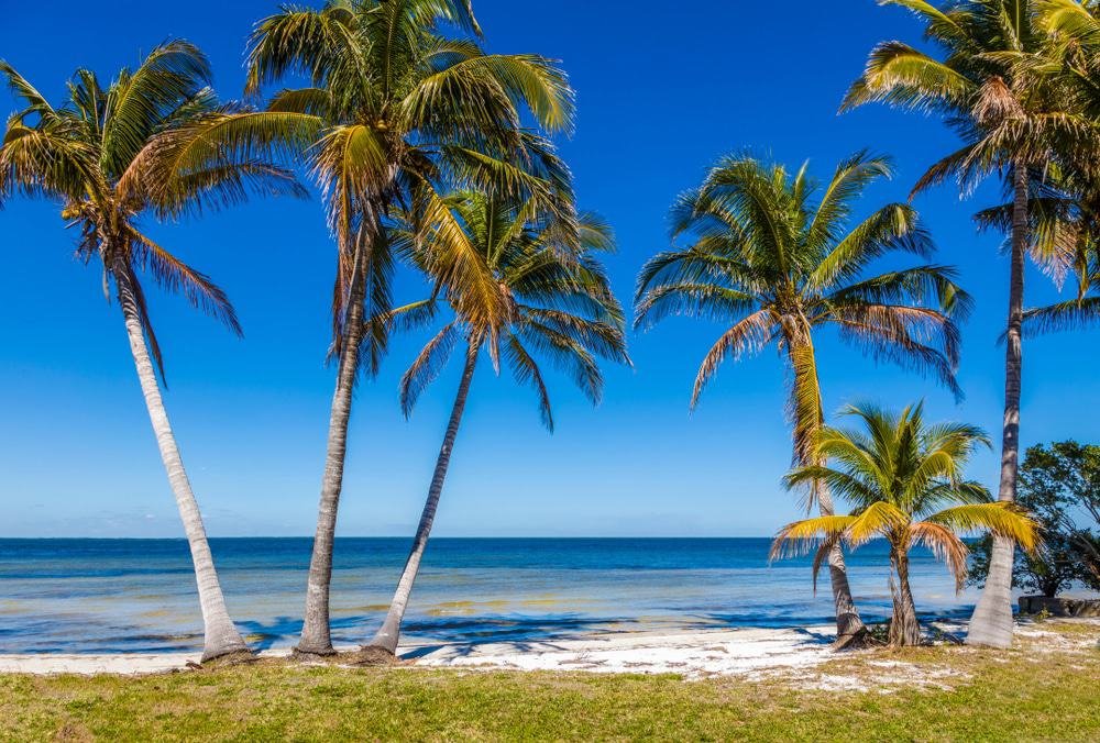Pine Island, Florida