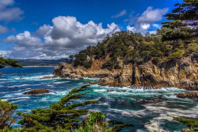 Point Lobos State Natural Reserve