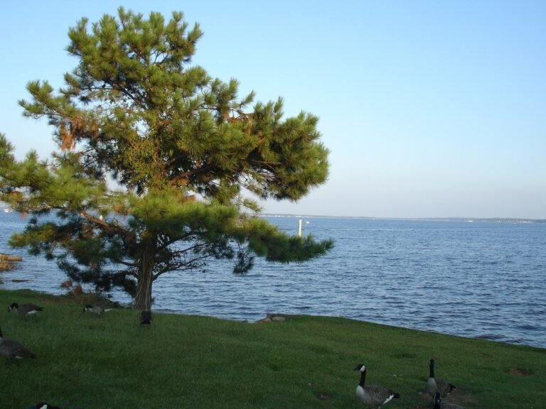 Ridgeland, Mississippi