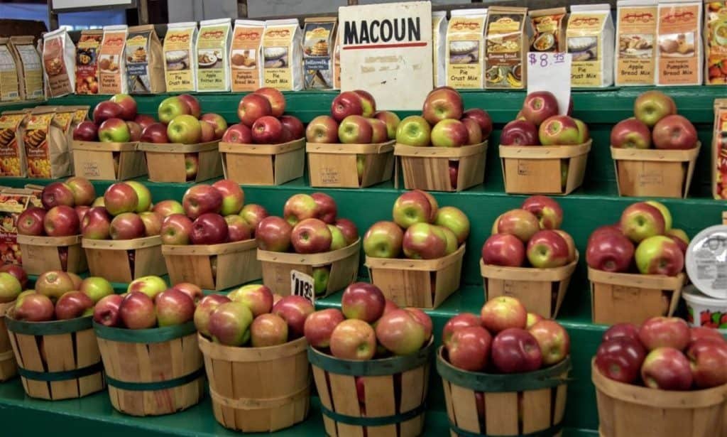 Rogers Orchards