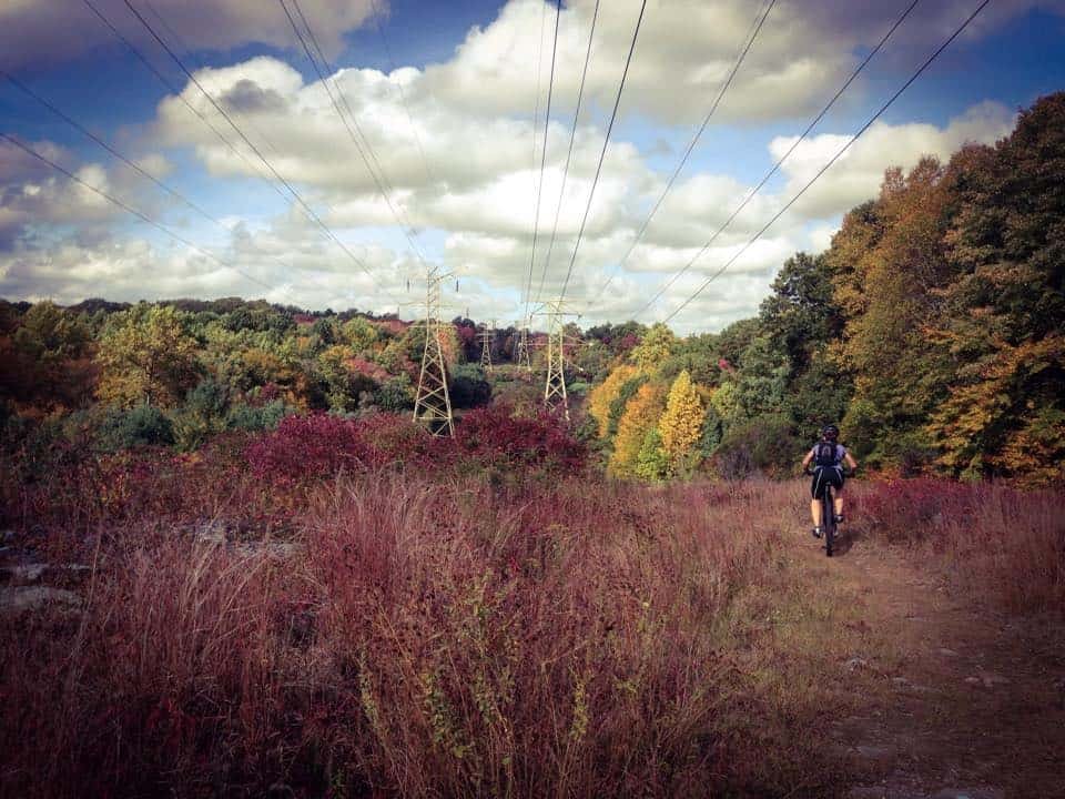 Shelton Lakes Recreation Path