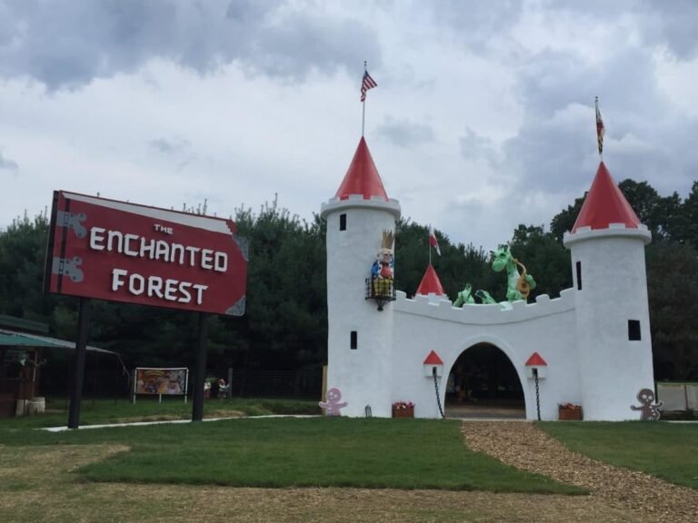 The Enchanted Forest Pine Tree Maze At Clark's Eliok Farm, Columbia