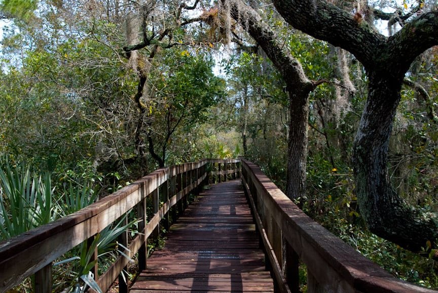 Turkey Creek Sanctuary